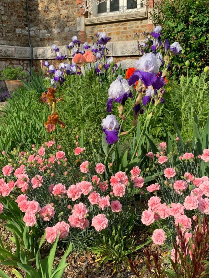 Le Manoir Des Rochers Bouere Екстер'єр фото